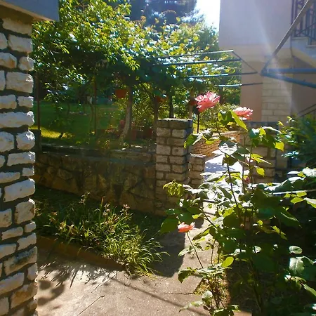 Apartment Anton Porec