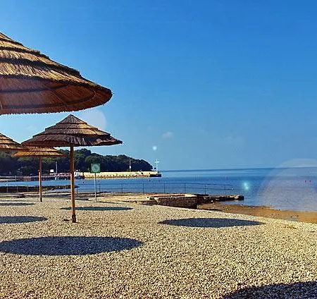 Anton * Porec